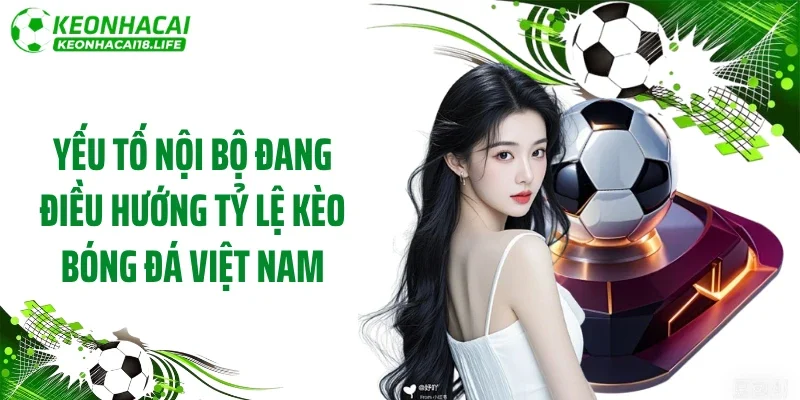 Yếu tố nội bộ đang điều hướng tỷ lệ kèo bóng đá Việt Nam